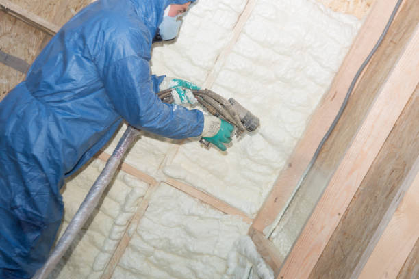 Best Wall Insulation Installation  in Round Rock, TX